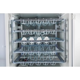 Incubatrice Fiem MG 140 200