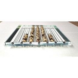 Incubatrice FIEM MG 70/100 Family