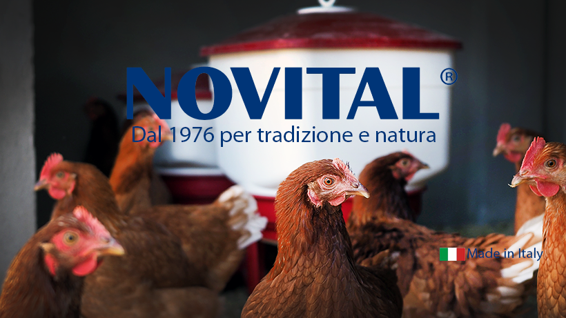 Novital